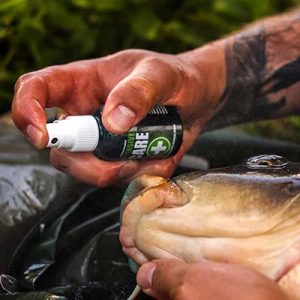 Carp Aid