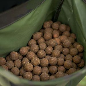 Carp Boilies