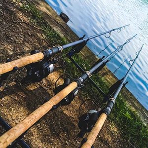 Carp Rods