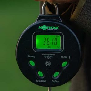 Carp Scales