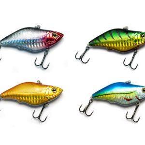 E-SOX Jester