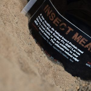 DNA Baits Insect Meal 1KG